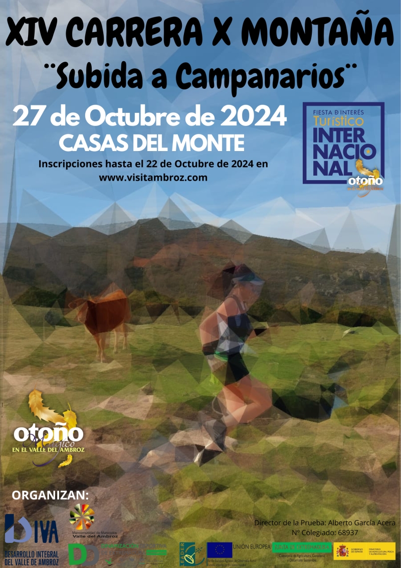 XIV Carrera por Montaña "Subida a Campanarios"